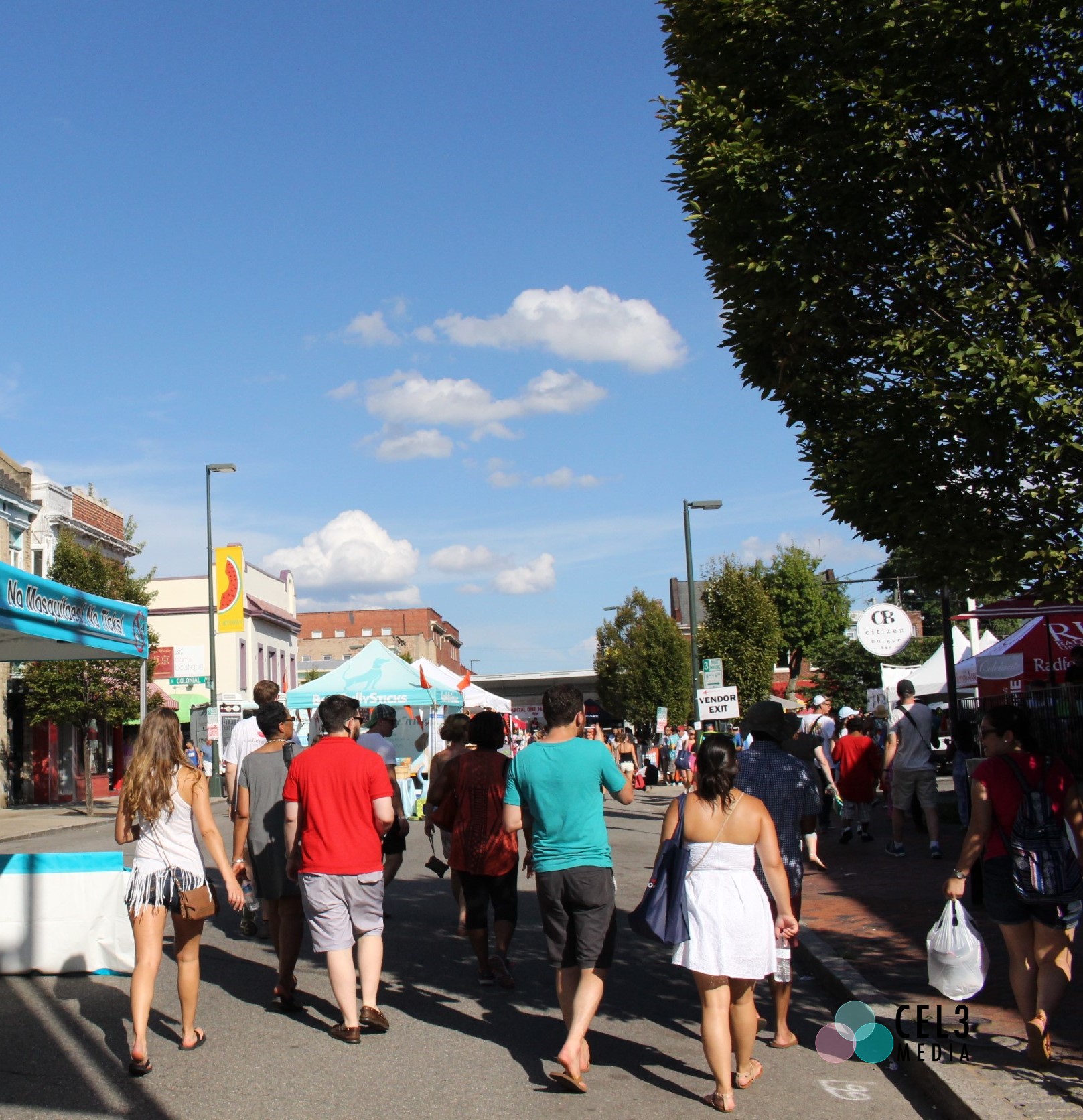 crowd, Carytown Watermelon Festival